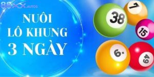 Nuôi Lô Khung 3 Ngày